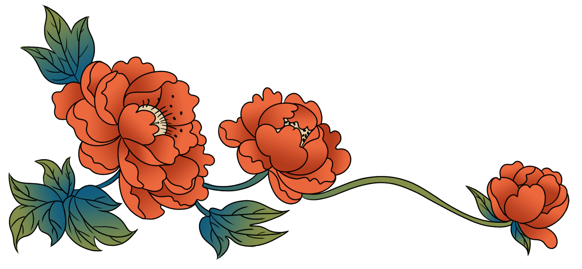 花边图片绘画大全制作方法！
