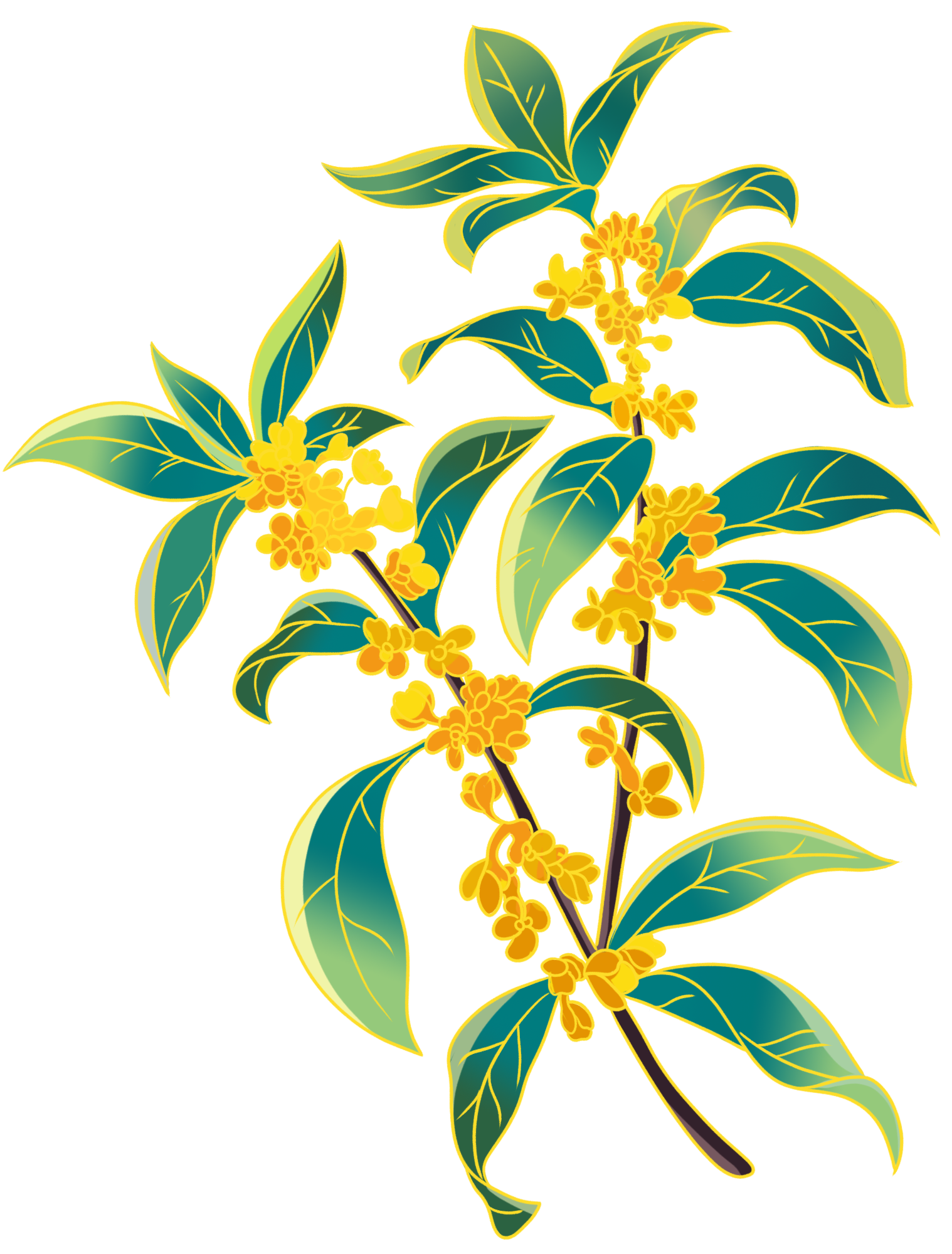 花绘画图片大全如何画？