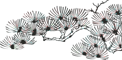  松柏图片