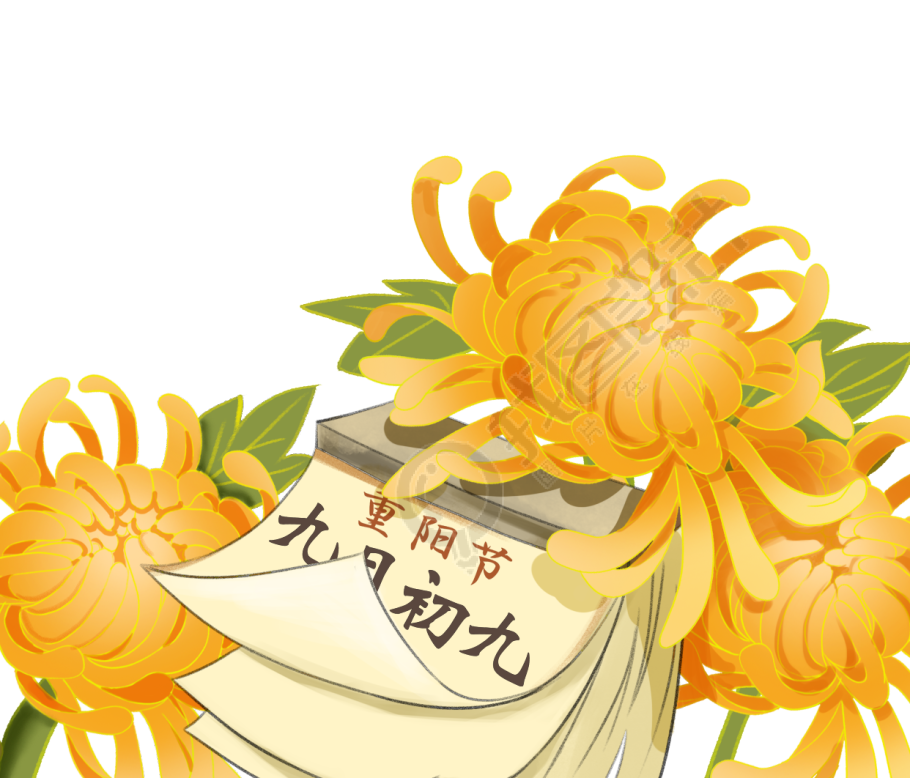 植物图片