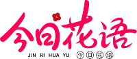 今日花语