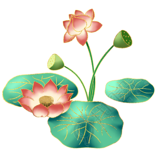 中国风国潮彩色荷花
