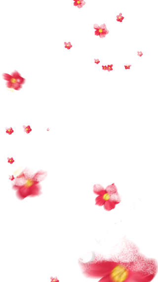 漂浮散落桃花图片
