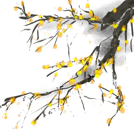 梅花黄梅花淡雅图片