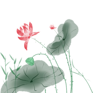 国潮荷花植物水墨图片