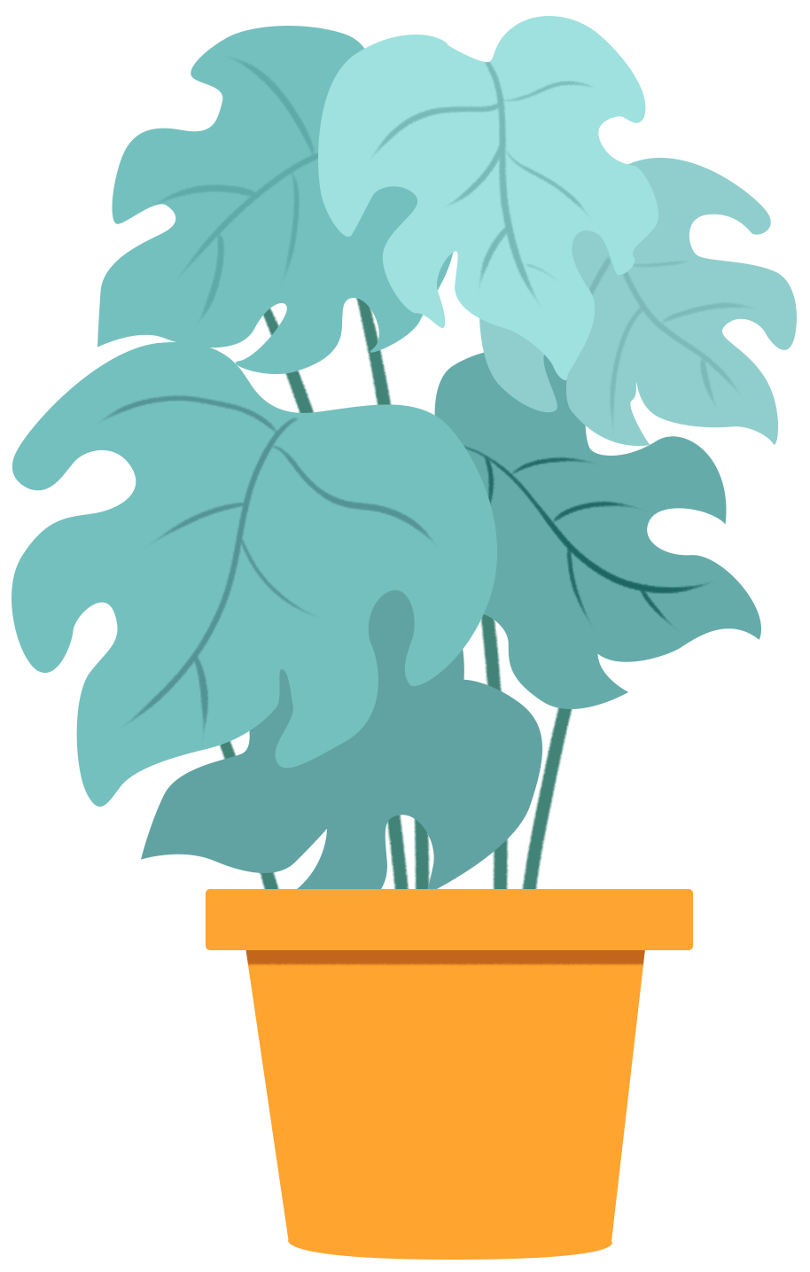 绿植盆栽绿色植物
