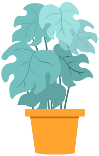 绿植盆栽绿色植物