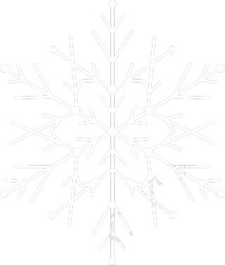 装饰雪花冬季大雪