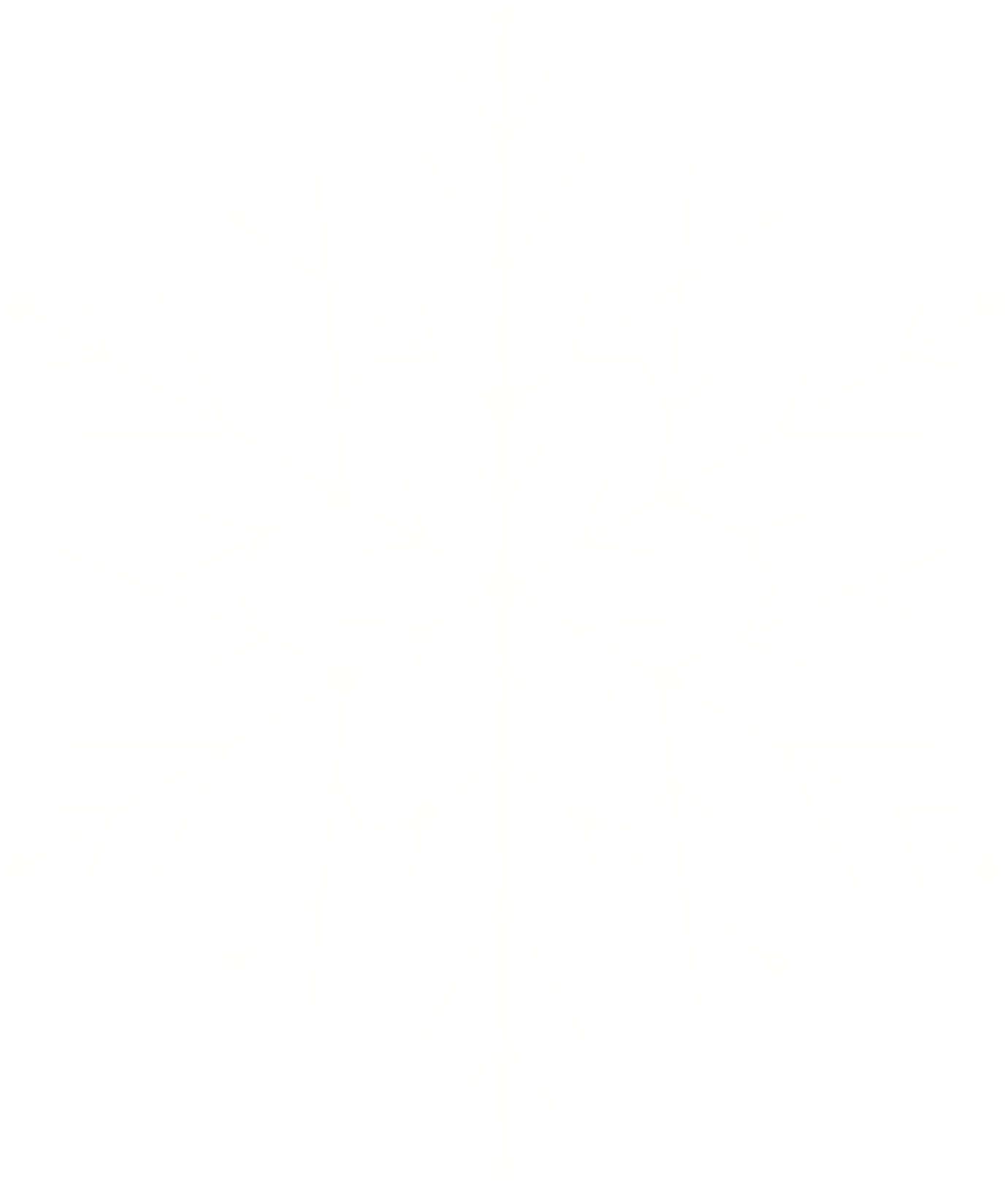 装饰雪花冬季大雪