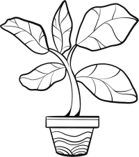 大叶子植物线条图片线稿