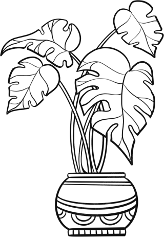 绿植大叶子植物线稿