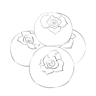 秋天柿子线稿