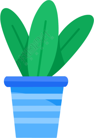 盆栽植物绿植图片
