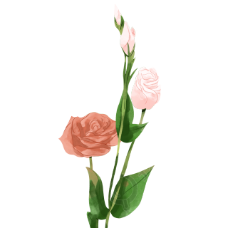 红色花朵花束素材图片