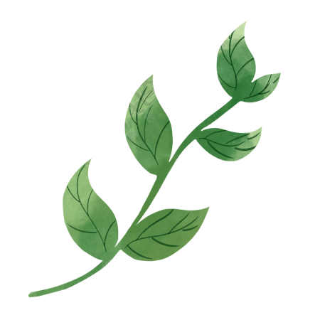 卡通绿色植物叶子图片