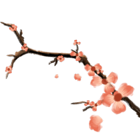 卡通梅花绽开树枝图片