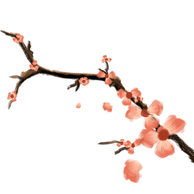 卡通梅花绽开树枝图片