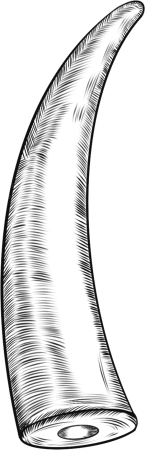 保护动物线描象牙线稿元素