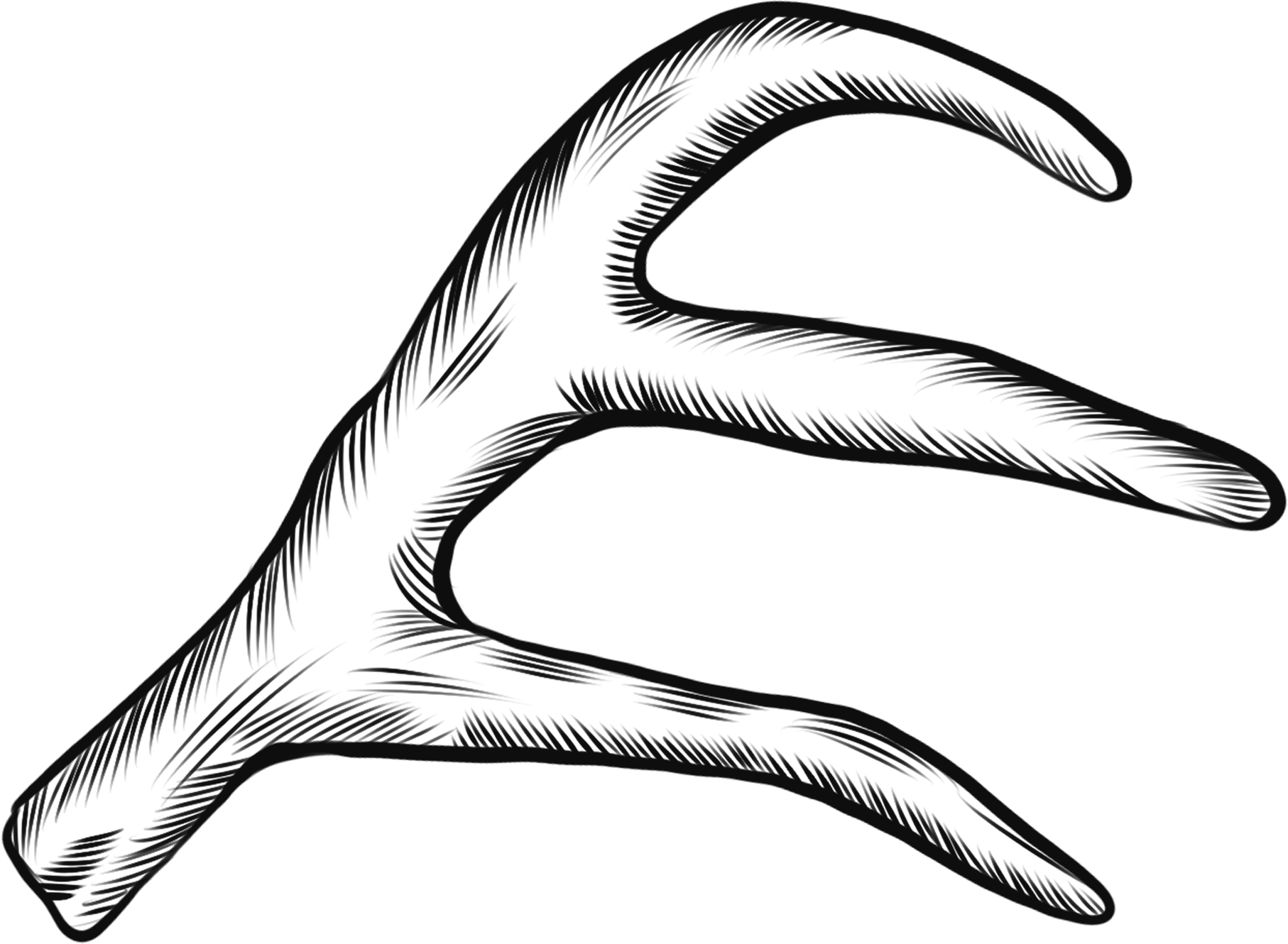 线描鹿角保护动物线稿元素
