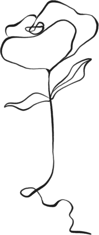 ins风线条鲜花植物元素