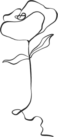 ins风线条鲜花植物元素