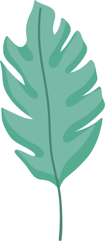 小型景观植物叶子图片