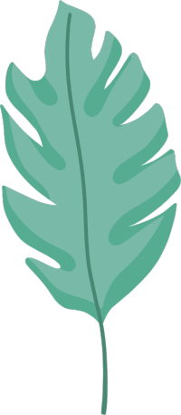 小型景观植物叶子图片