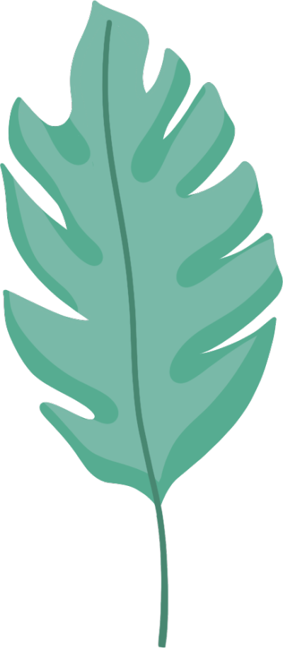 小型景观植物叶子图片