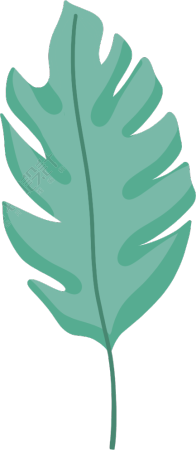 小型景观植物叶子图片