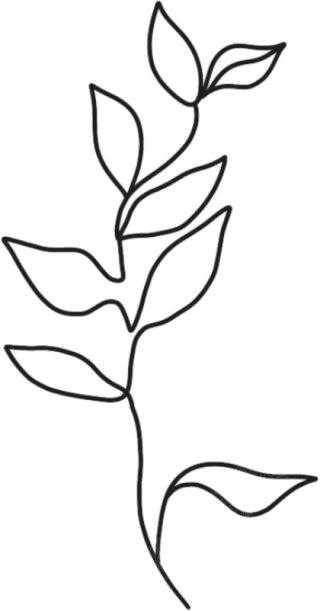 ins风线条树叶植物元素