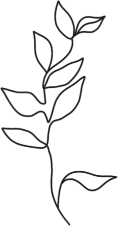 ins风线条树叶植物元素