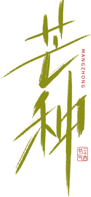 芒种