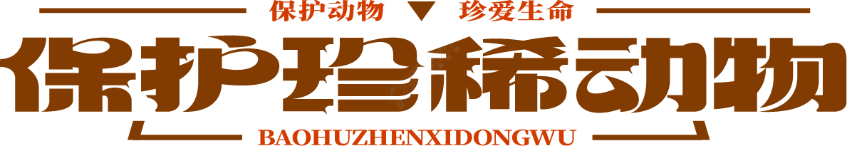 保护珍稀动物