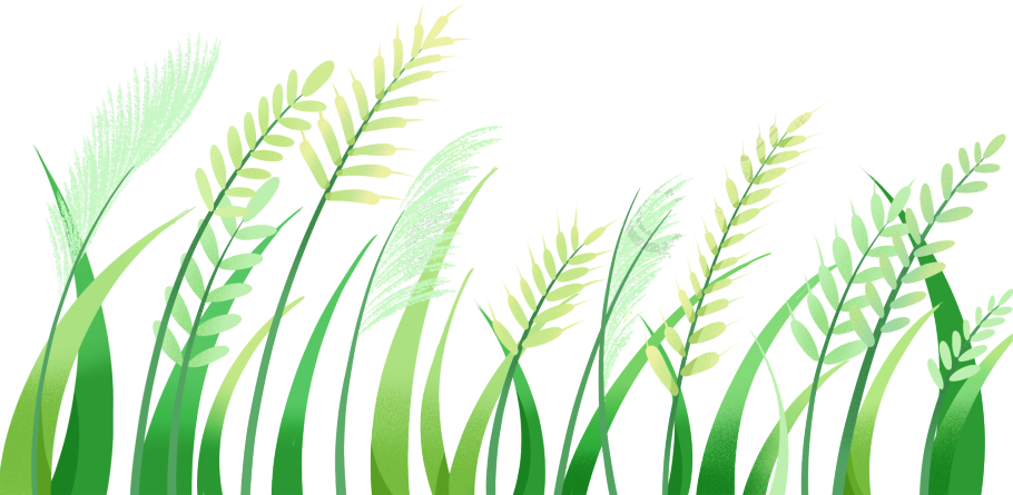 绿色麦田麦穗植物元素