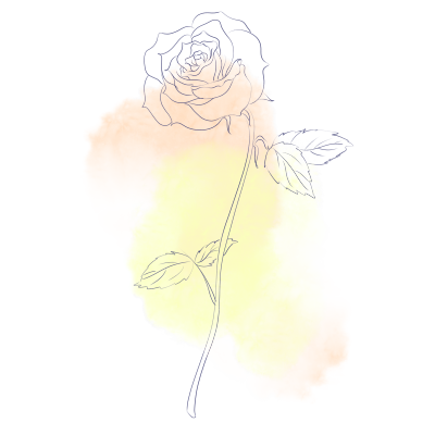 黄粉色水彩背景玫瑰花线描图片