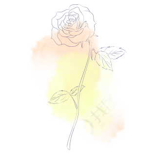 黄粉色水彩背景玫瑰花线描图片