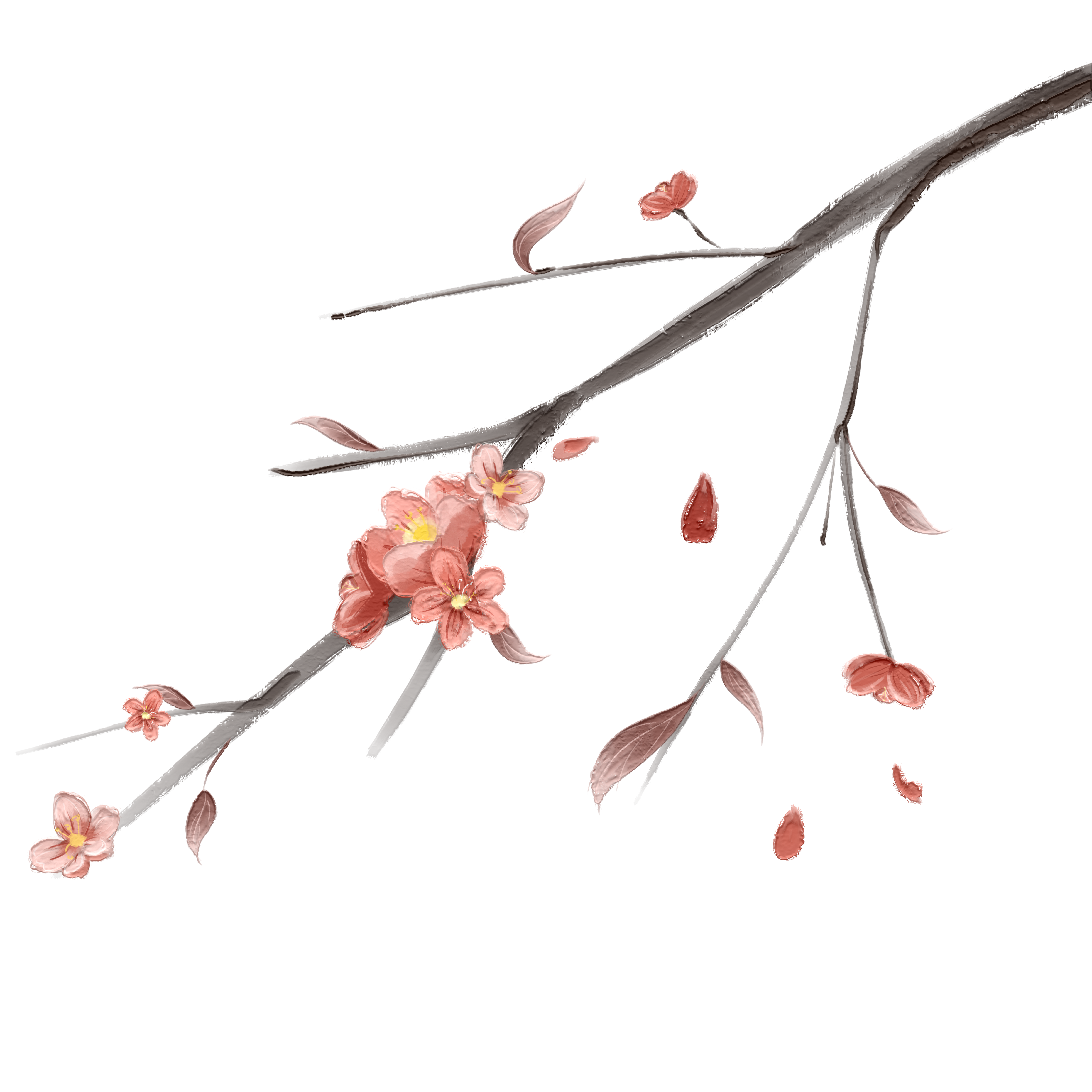 桃花图片插画黑白制作步骤