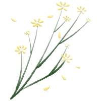 春日漂亮的黄色小花手绘图片