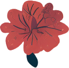 简约插画玫瑰花PNG素材