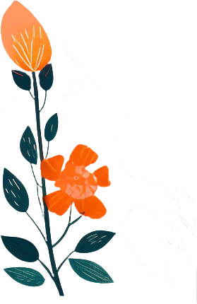简约插画花卉PNG素材