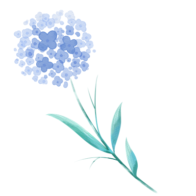 水彩画蓝色绣球花唯美图片