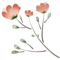 粉色唯美小花手绘元素