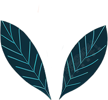 简约插画玫瑰花PNG素材