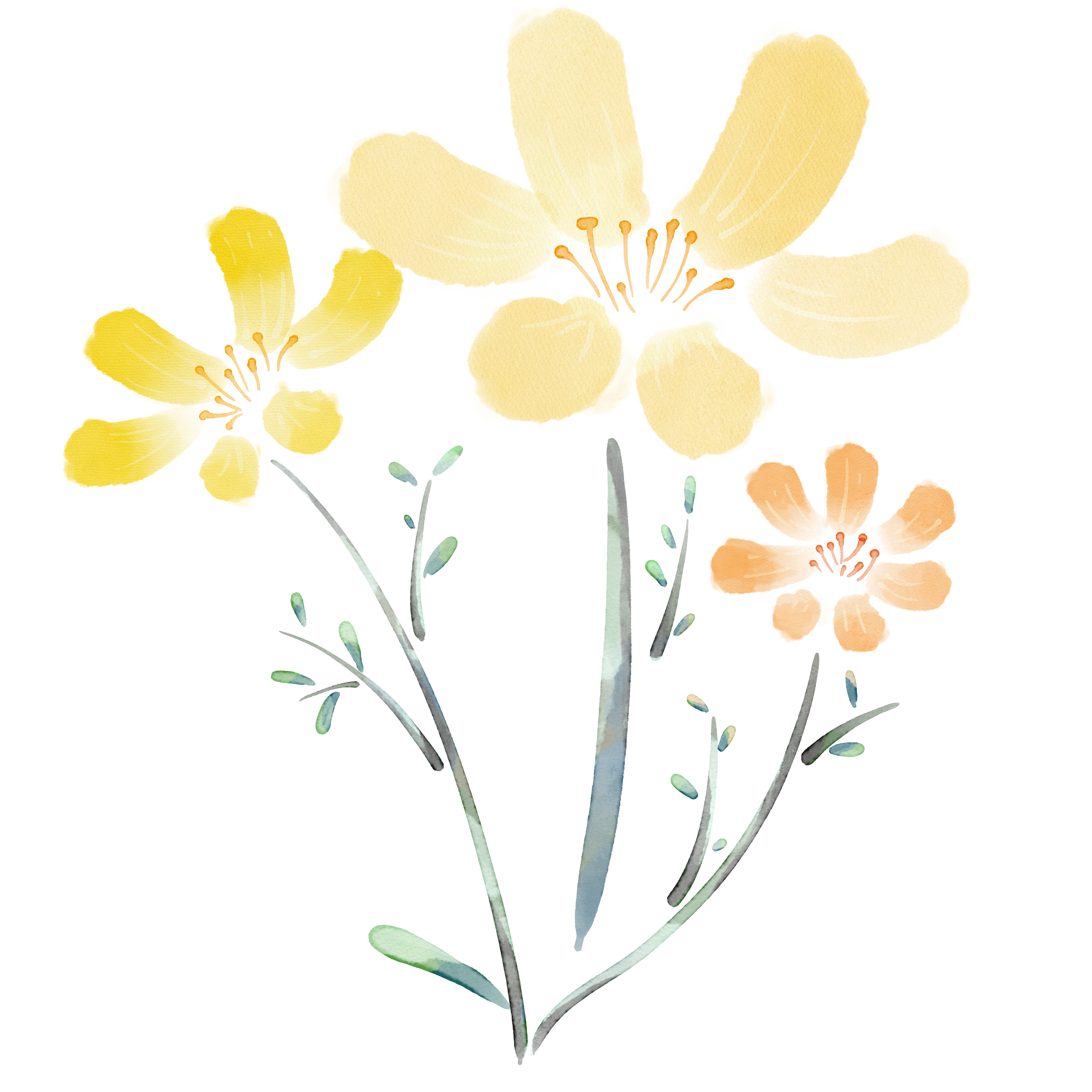 水彩风小花绘画图片大全制作步骤