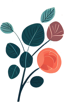 极简插画玫瑰花PNG图形素材