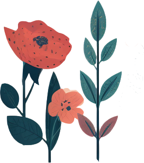 简约插画玫瑰花PNG素材