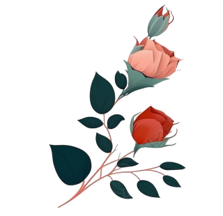 白底扁平插画UI素材-玫瑰花