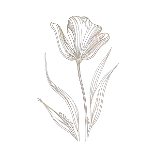 单行简洁花卉元素插画设计