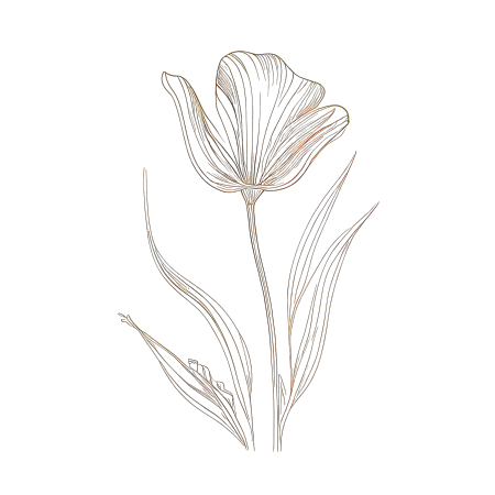 单行简洁花卉元素插画设计