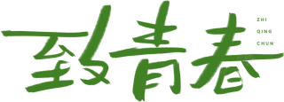 致青春